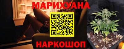 крисы Будённовск