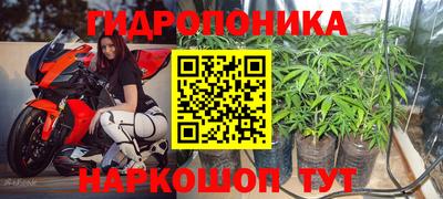 стаф Бугуруслан