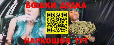 крисы Будённовск