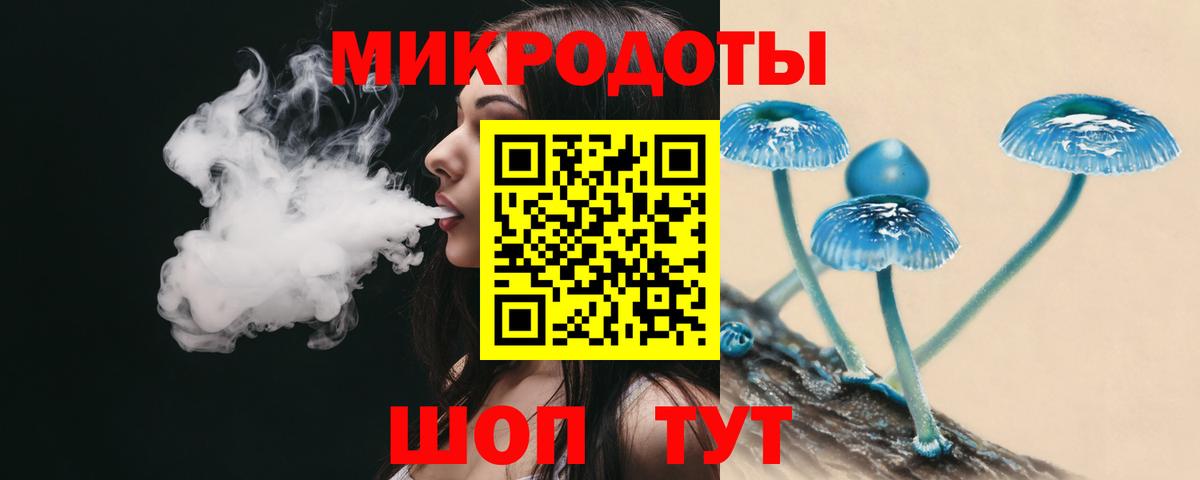Псилоцибиновые грибы Psilocybe Миллерово